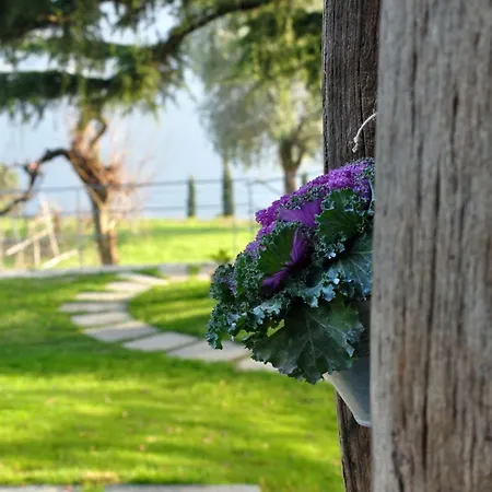 La Cassinella Отель типа 